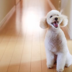 d63078a8168a2d3d1895559e4a83b687_m