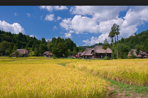 bandicam 2016-04-17 10-51-47-225