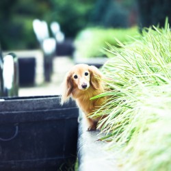 79a71cdf7448ae3060a8c0af1fe9bcfb_l