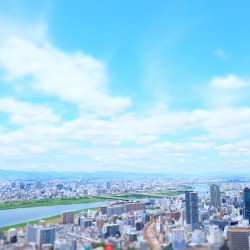 aedd9057180a3382d318828a7529546a_m